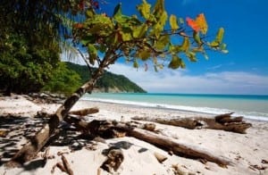 Cabo Blanco Natural Reserve