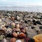 Cabo Blanco coast Cabo Blanco coast