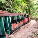 Monteverde Cloud Forest Train tour