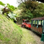 Explore the cloud forest by train