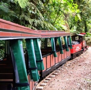 Monteverde Train adventure in the cloud forest