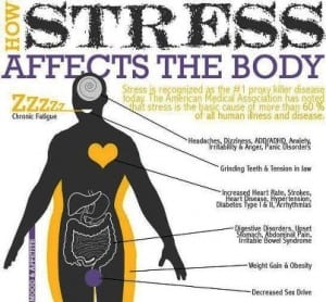 Stress affects our bodies and health