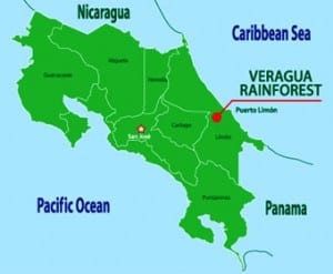 Costa Rica's Caribbean Coast is the location for Veragua Rainforest Park