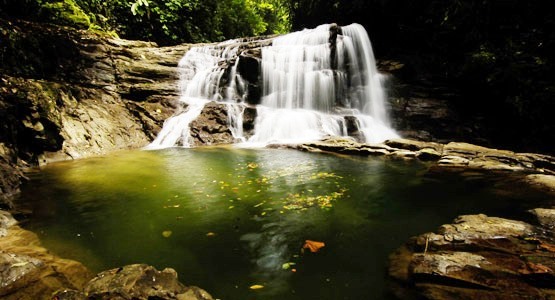 puma waterfall trail