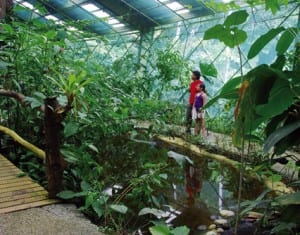 Veragua Rainforest Park has created natural habitats for species to survive