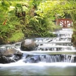 Hot Springs flow at Costa Rica's Tabacon Resort at Arenal Volcano