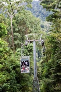Swiss technology helped create Veragua Rainforest's aerial tramway