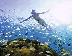 Oceans Unlimited offers fun snorkeling tours along Manuel Antonio's coast