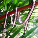 Phyllis Warman wrap bracelet inspired by Costa Rica's nature