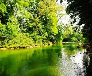 The Sarapiqui River is a source of nature and adventure tourism in Costa Rica