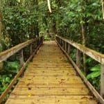 Explore wild nature at Veragua Rainforest in Costa Rica