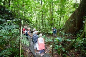 Hike a variety of trails, from easy to challenging, at Veragua Rainforest