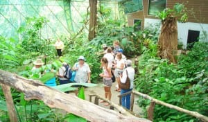 Veragua Rainforest butterfly garden in Costa Rica