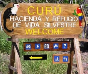 Curu Wildlife Refuge is located on the southern Nicoya Peninsula of Costa Rica