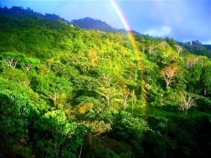 Beautiful rainbows appear during Costa Rica's green season