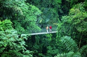 UK study says people are happier outdoors in nature. Visit Costa Rica for the green!