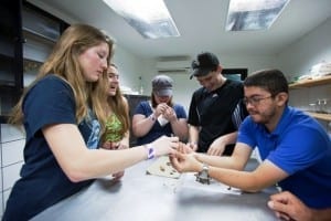 Veragua biologist Rolando Ramirez works with students on entomology
