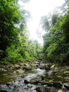 Portasol Rainforest & Ocean View Community protects the Portalon River Valley in Costa Rica