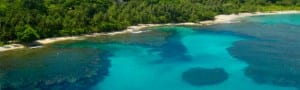 Coral reef at Cahuita National Park, Costa Rica