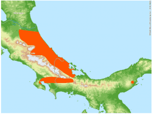 Bolitoglossa colonnea habitat map, photo courtesy of Smithsonian Tropical Research Institute