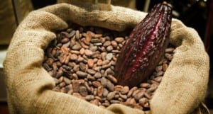 Cacao-beans-photo-courtesy-of-Smithsonian-Magazine-300x161.jpg?width=300