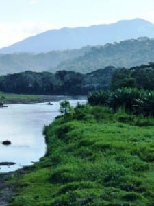 Carara National Park - Tarcoles River, Central Pacific, Costa Rica