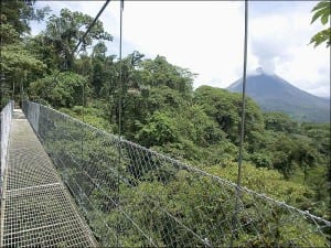 Arenal Hanging Bridges by Arenal Volcano, Costa Rica