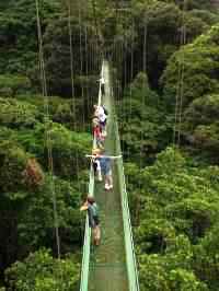 Hanging-Bridges-Selvatura-in-Monteverde.jpg?width=164