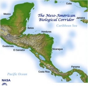 Mesoamerican-Biological-Corridor.jpg?width=284