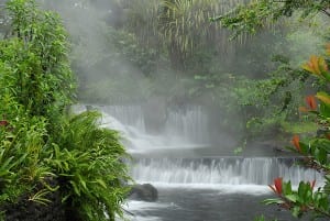 Tabacon Grand Spa Thermal Resort hot springs, Volcano Arenal, Costa Rica