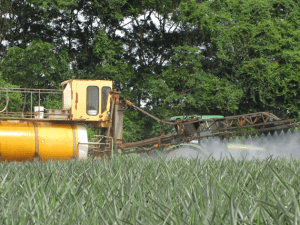 Spraying pineapple fields by forest in Costa Rica