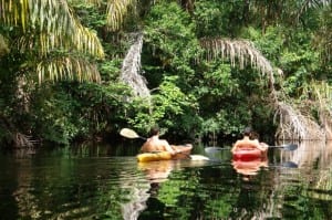 Kayaking in Tortuguero, Costa Rica with Valle Dorado Tours 