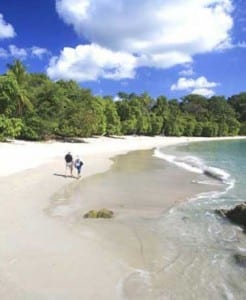 Costa-Rica-M-Antonio-National-Park-beach-246x300.jpg?width=218