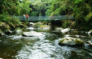 Savegre River in San Gerardo de Dota