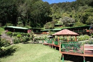 Trogon Lodge, San Gerardo de Dota