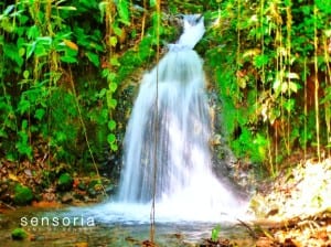 La Jicara Waterfall at Sensoria