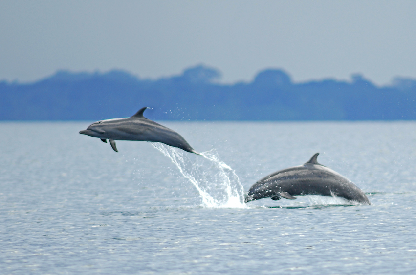 Exploring-Costa-Rica's-Southern-Pacific-Nature-Culture-Adventure