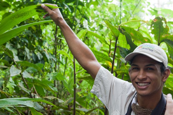 Ecotourism in Costa Rica Defines Veragua Rainforest Park | Enchanting ...