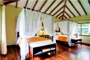 Immerse-yourself-in-the-beauty-of-tortuguero-at-hotel-manatus