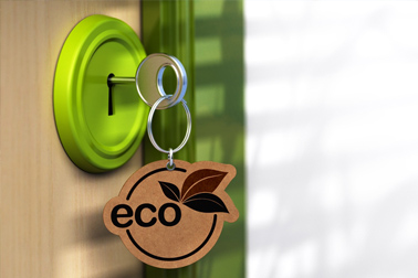 Eco-friendly hotels skyrocket to success