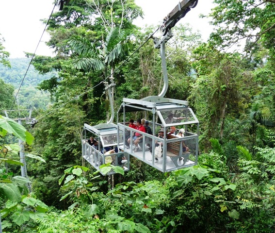 Veragua Rainforest Aerial Tram in Costa Rica