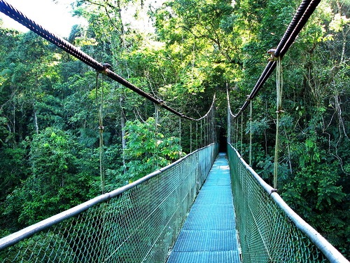 Tirimbina nature reserve in Sarapiqui, Costa Rica