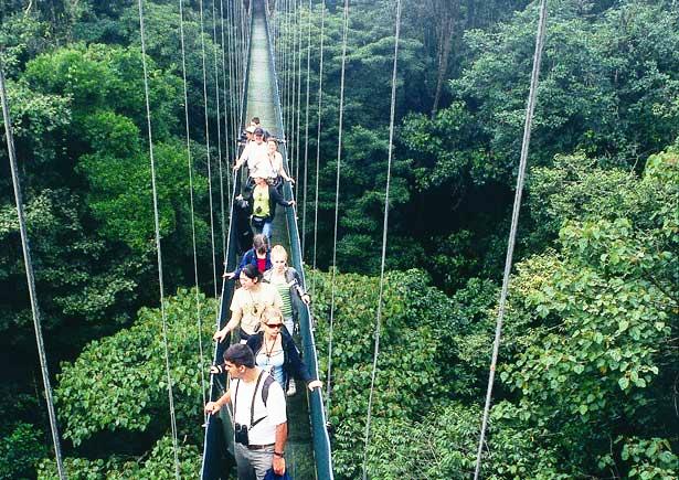 Hanging Bridges Costa Rica. On Monteverde's Sky Walk.