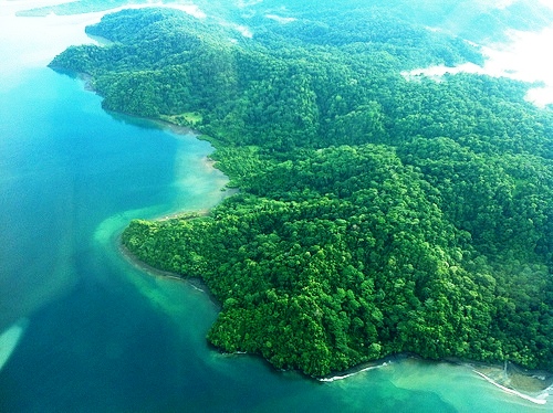 Golfo Dulce and Osa Peninsula, Costa Rica