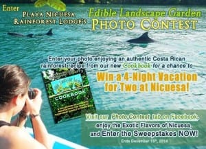 Edible Landscape Photo Contest at Nicuesa Lodge