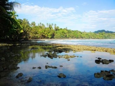 Three beaches in the Costa Rica Southern Caribbean you have to visit ...
