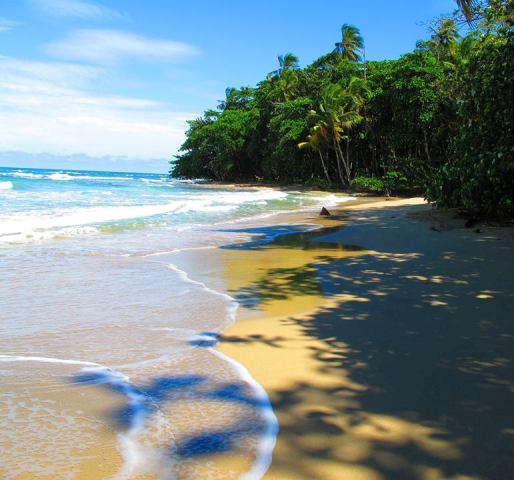 llave inglesa con las manos en la masa Araña Prettiest beach by Puerto Viejo Costa Rica is Playa Cocles.