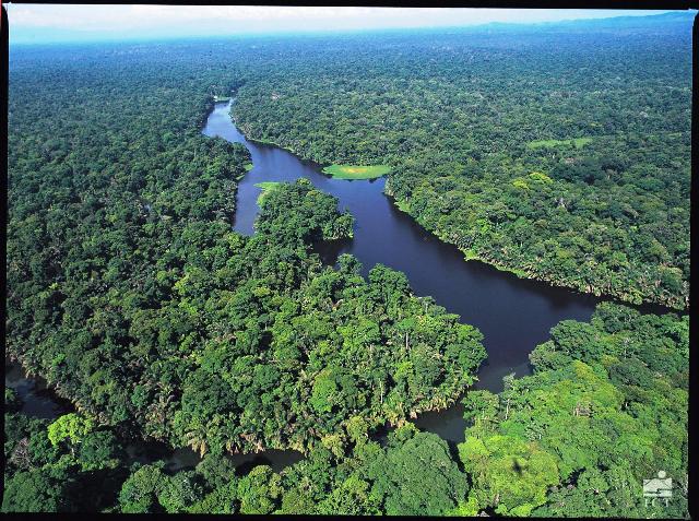 Immerse-yourself-in-the-beauty-of-tortuguero-at-manatus-hotel