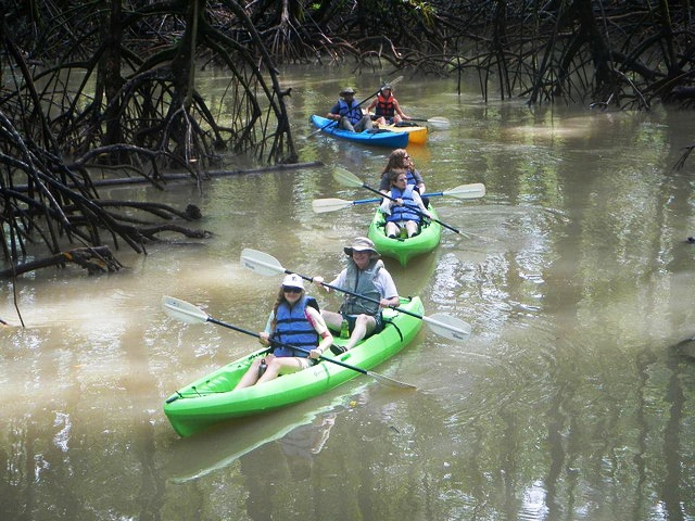 Rio Esquinas mangrove kayaking