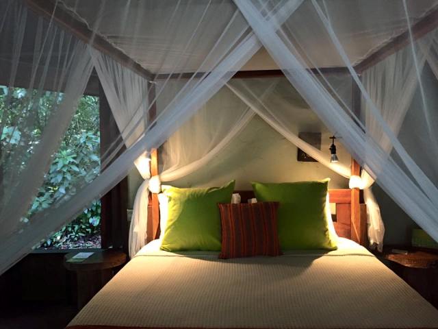5-reasons-December-is-the-Perfect-Time-to-Visit-Nicuesa-Rainforest-Lodge